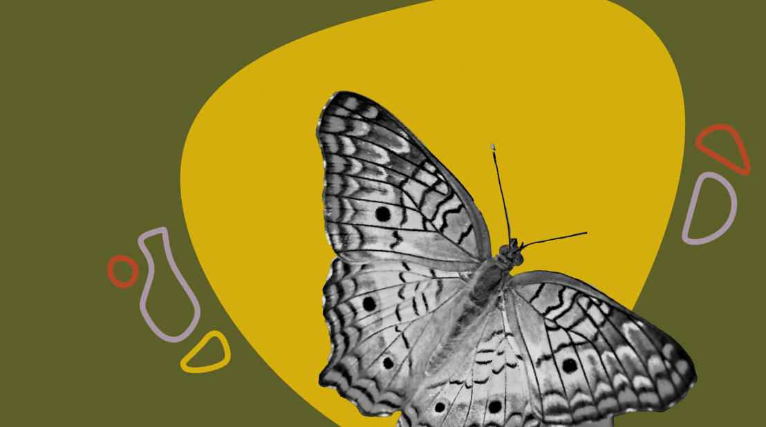 How Learning Ungp Foresight Project